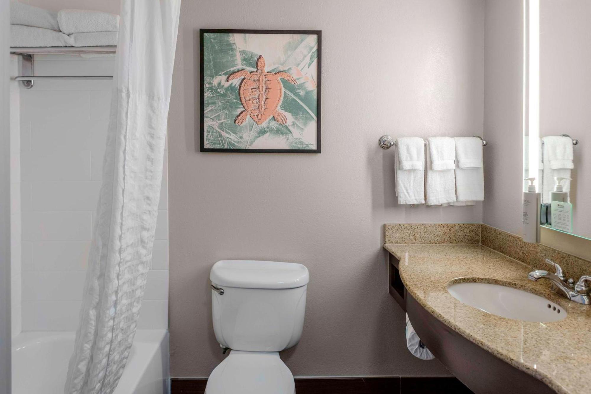 Hilton Garden Sarasota-bradenton Airport 3* South Bradenton