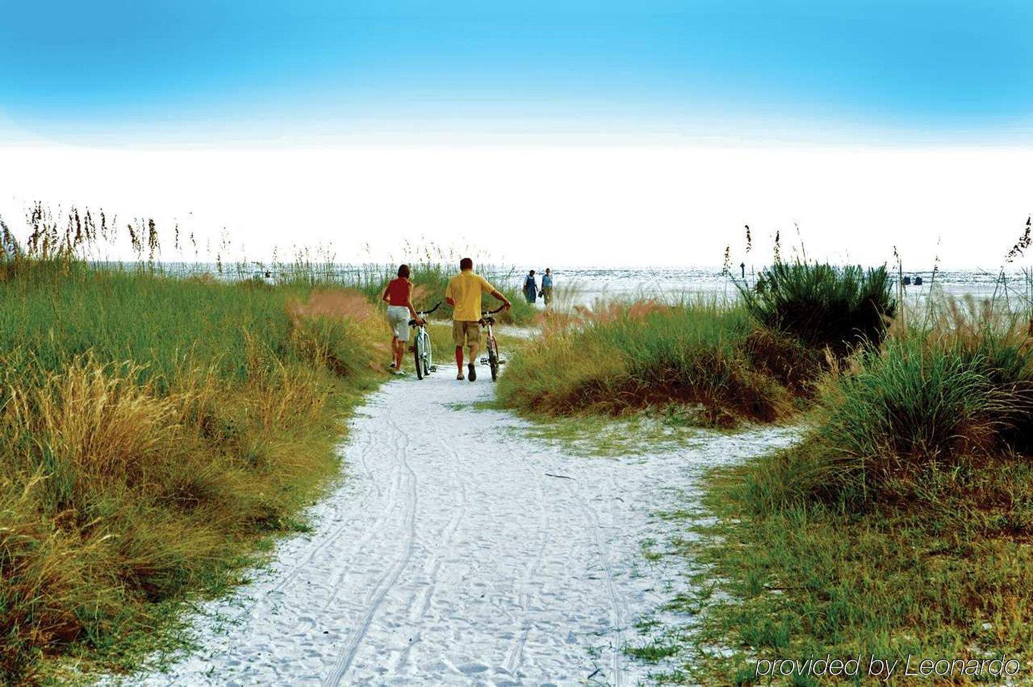 Hotel Hilton Garden Sarasota-bradenton Airport South Bradenton